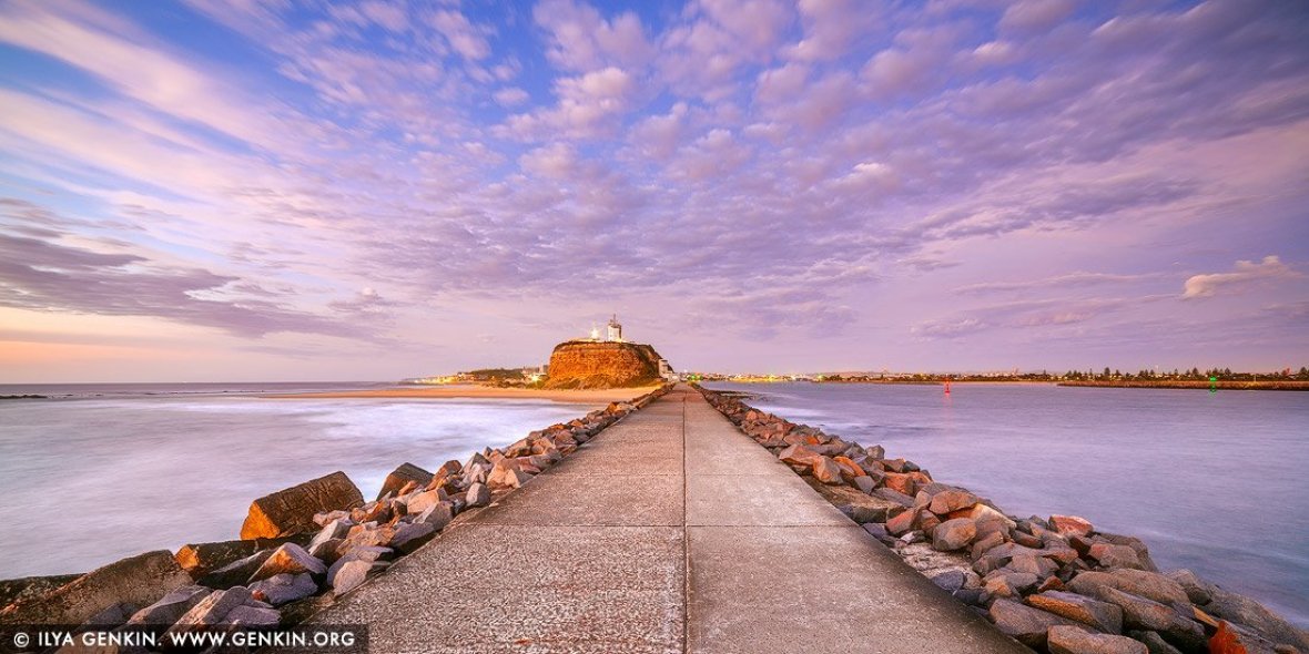 gallery/nobby's