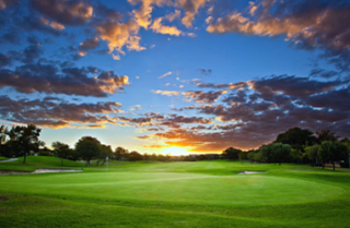 gallery/golf 1
